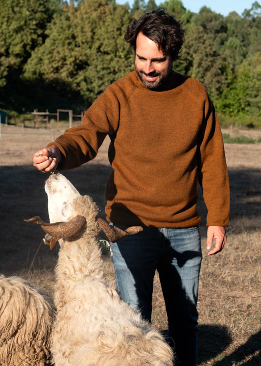 Men's jumper
